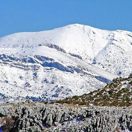 בית נופש Checkmate