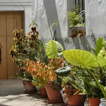 בית נופש Checkmate