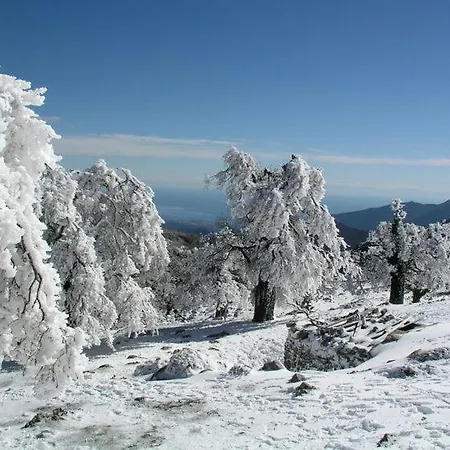 Checkmate * טולוקס