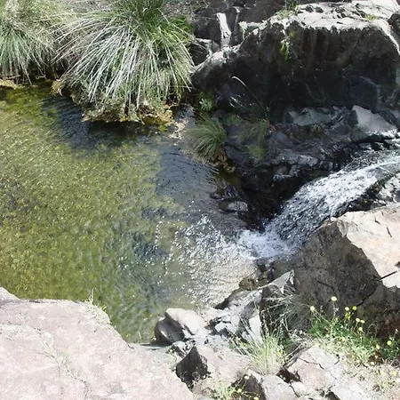 Checkmate טולוקס