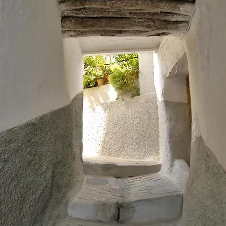 Checkmate בית נופש טולוקס