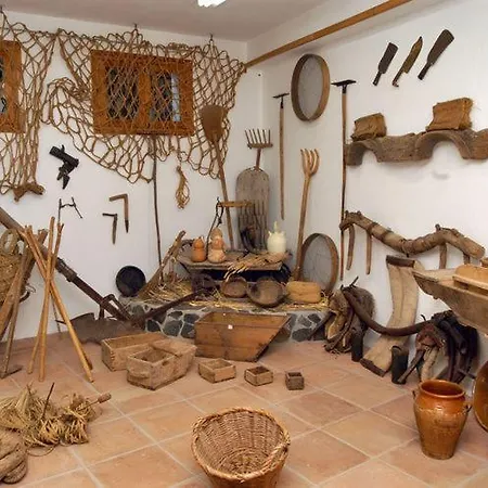 Checkmate טולוקס