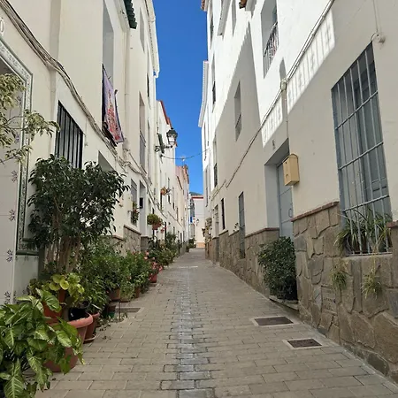 Checkmate * טולוקס