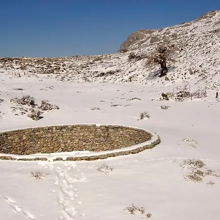 Checkmate טולוקס